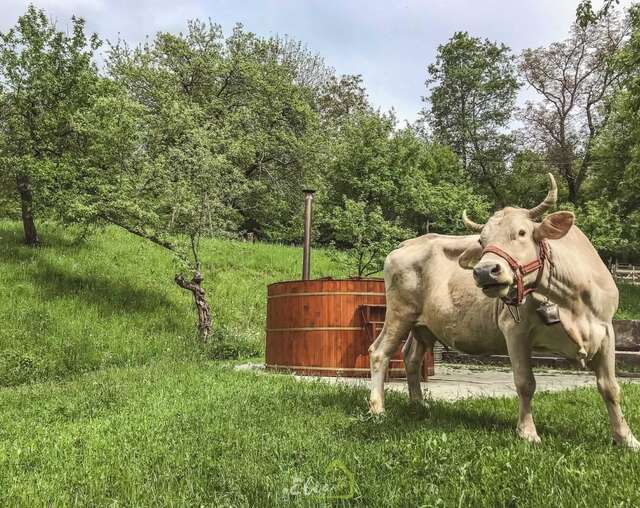 Фермерские дома Casa Elia Бран-7